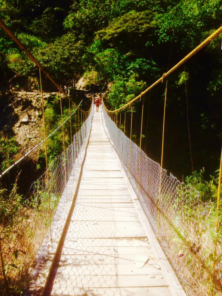 13332718_10154780597074528_7230107872455576583_n